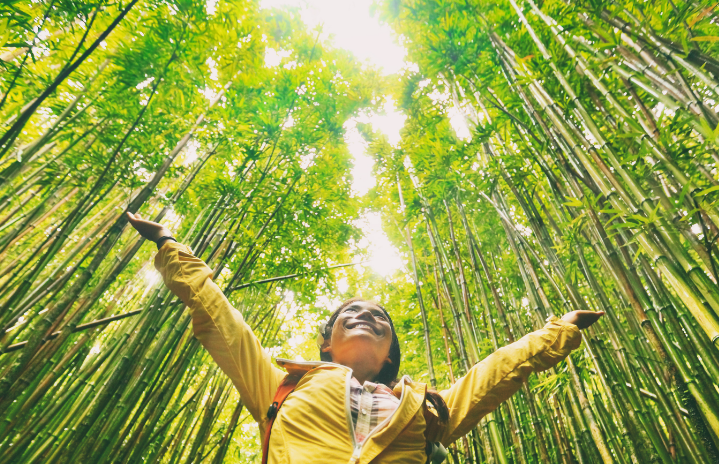Sustainable Investment Becoming Mainstream Business Model